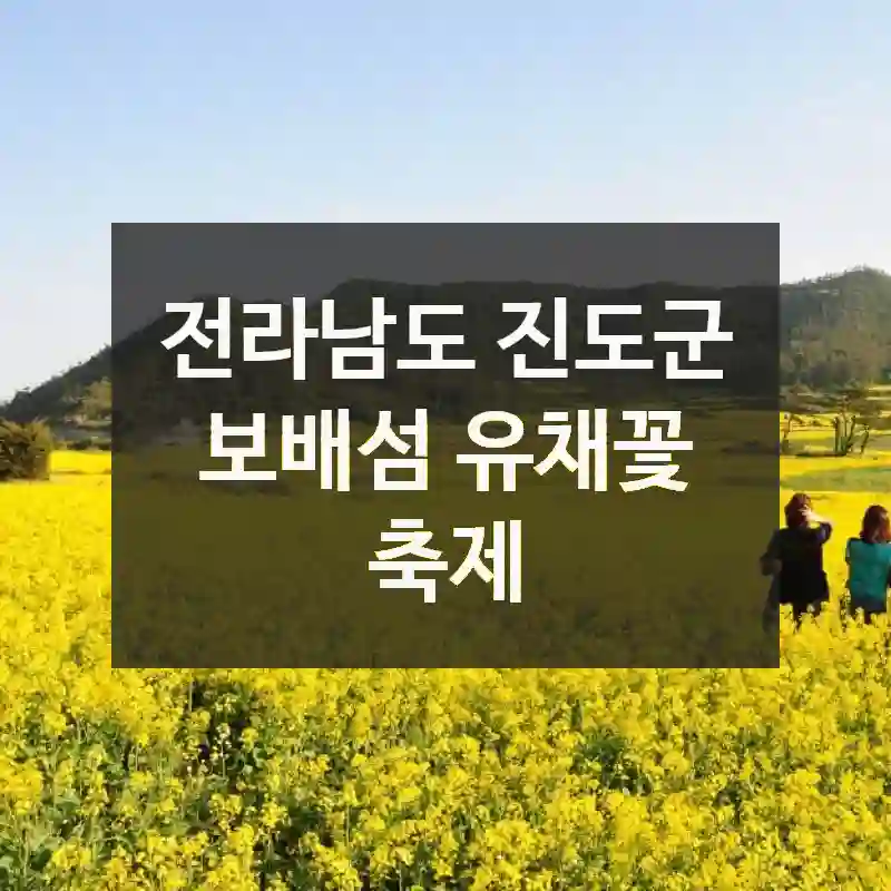 전라남도 진도군
보배섬 유채꽃 축제