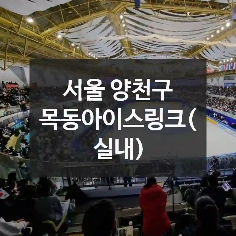 서울 양천구
목동아이스링크(실내)