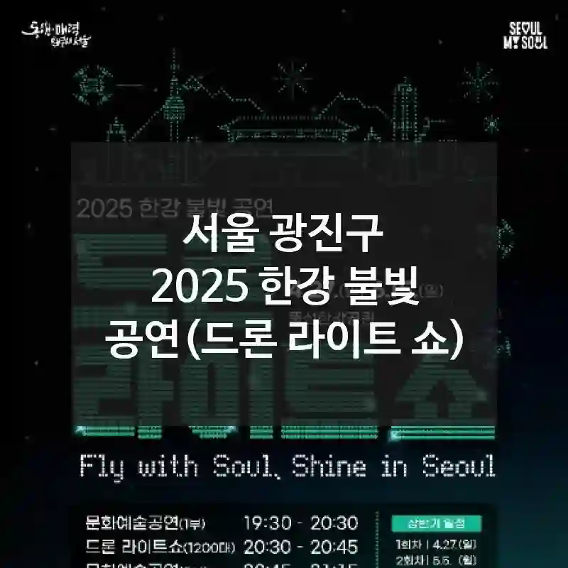 서울 광진구
2025 한강 불빛 공연(드론 라이트 쇼)