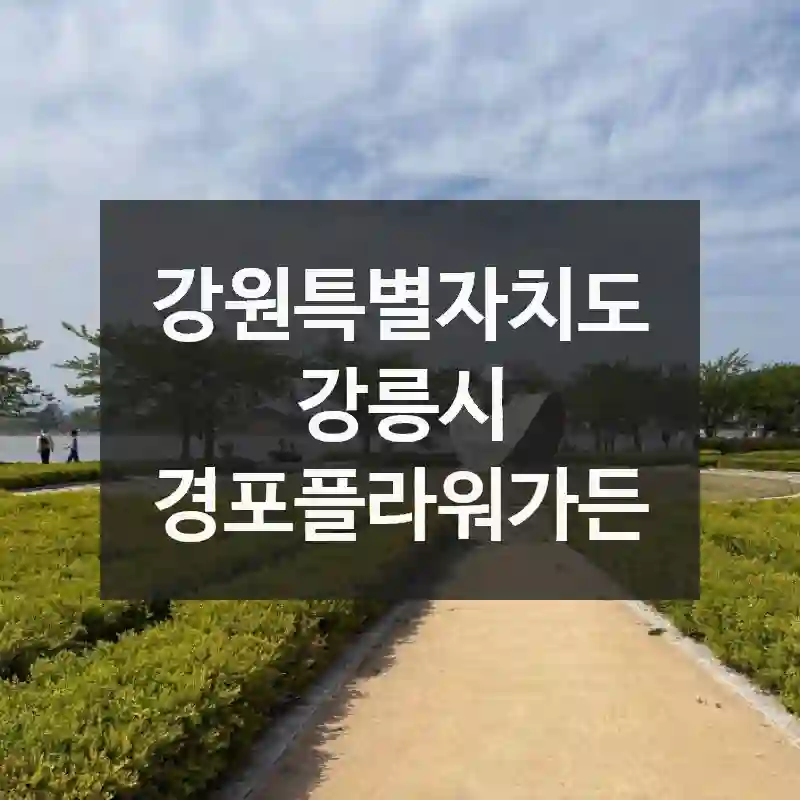 강원특별자치도 강릉시
경포플라워가든