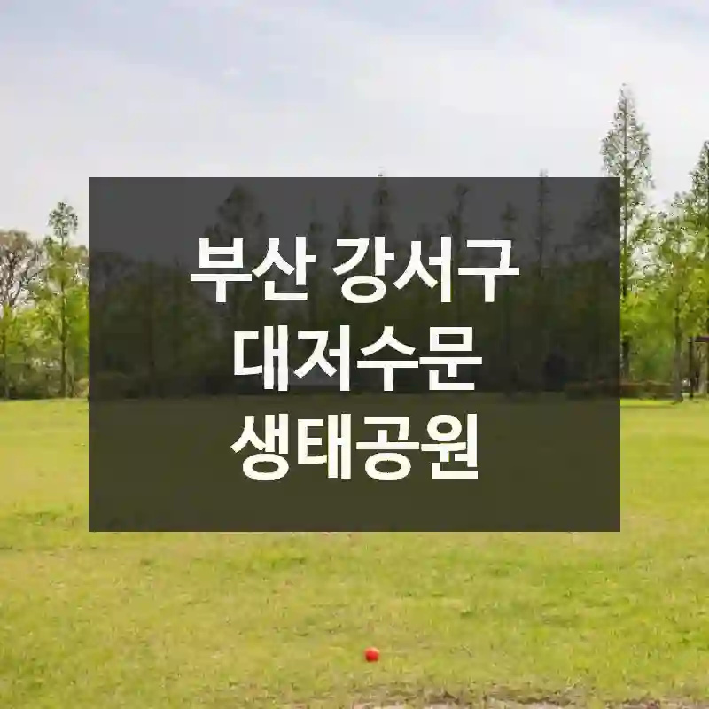 알고 보면 더 재밌는 부산 강서구의 추천 스팟, 대저수문 생태공원