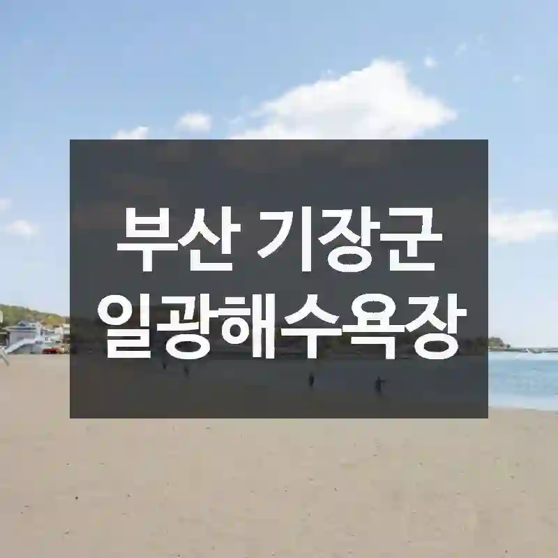 일광해수욕장 가기 전 체크리스트! 찾아가는 법, 관람 포인트, 활용 팁 정리