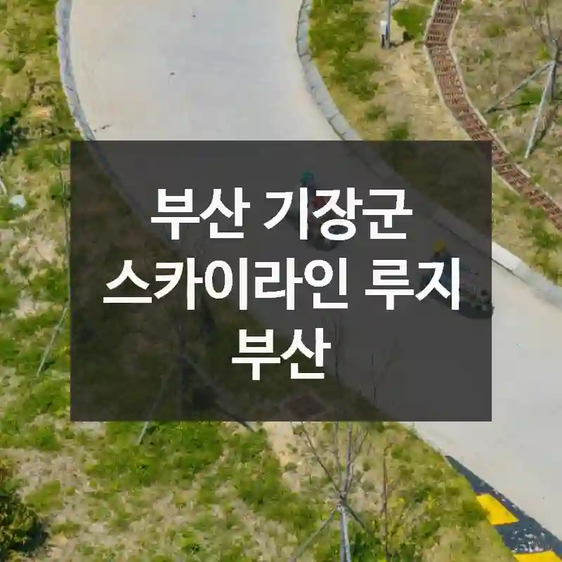 스카이라인 루지 부산 한눈에 보기! 위치, 볼거리, 포인트까지
