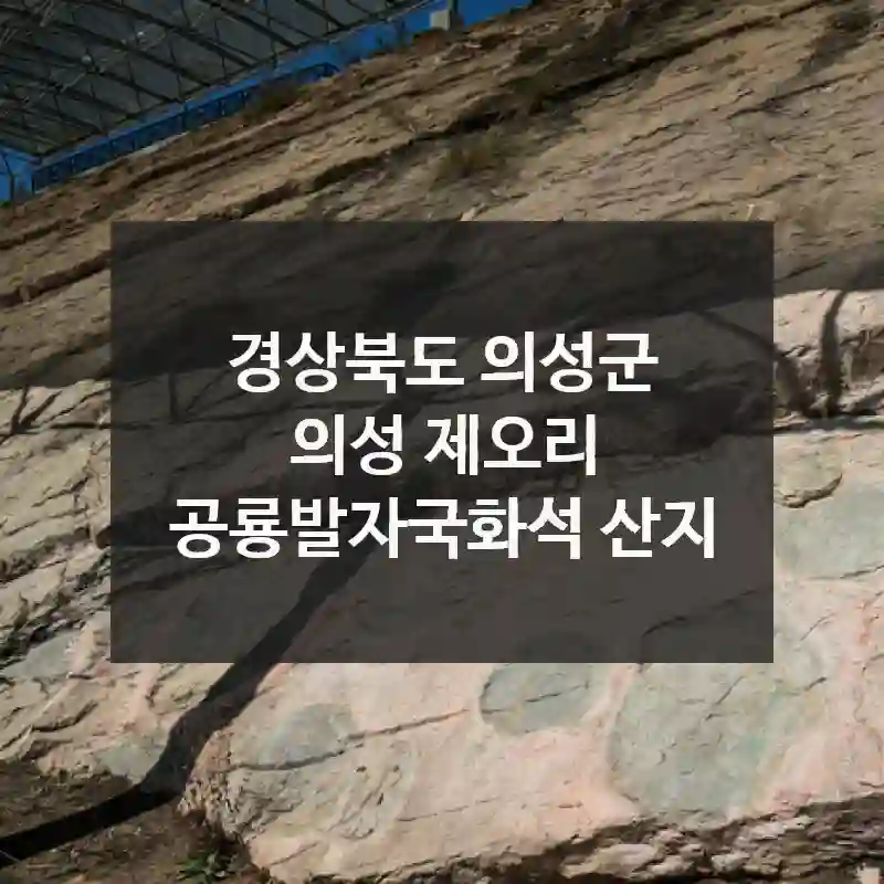 경상북도 의성군
의성 제오리 공룡발자국화석 산지