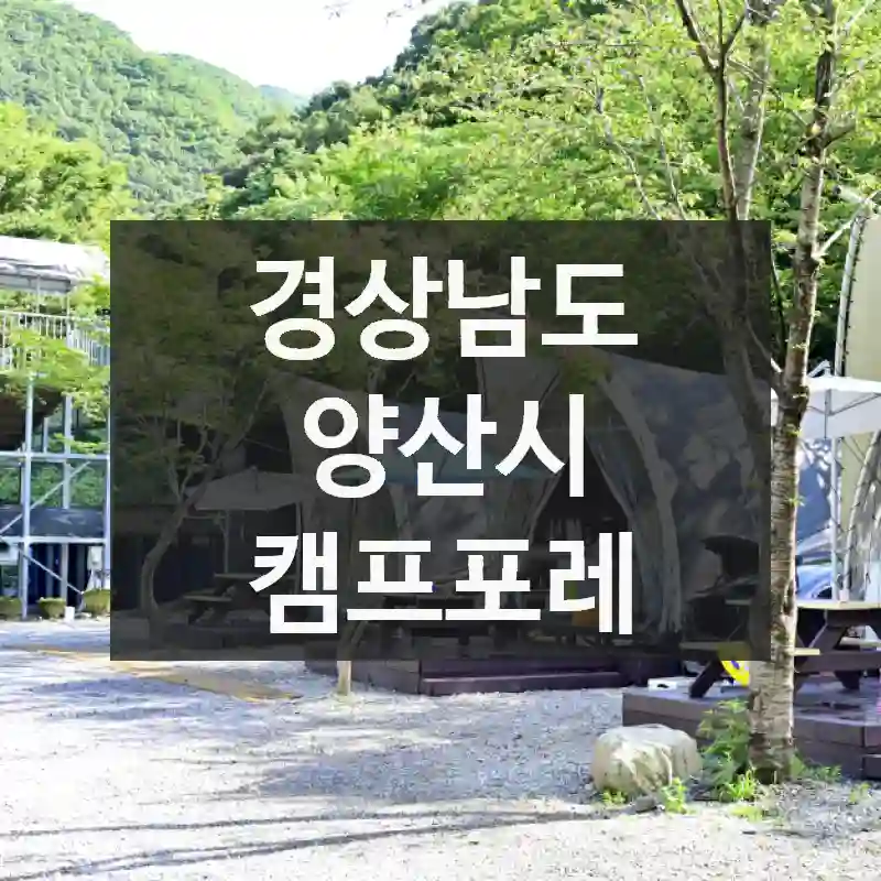 경상남도 양산시
캠프포레