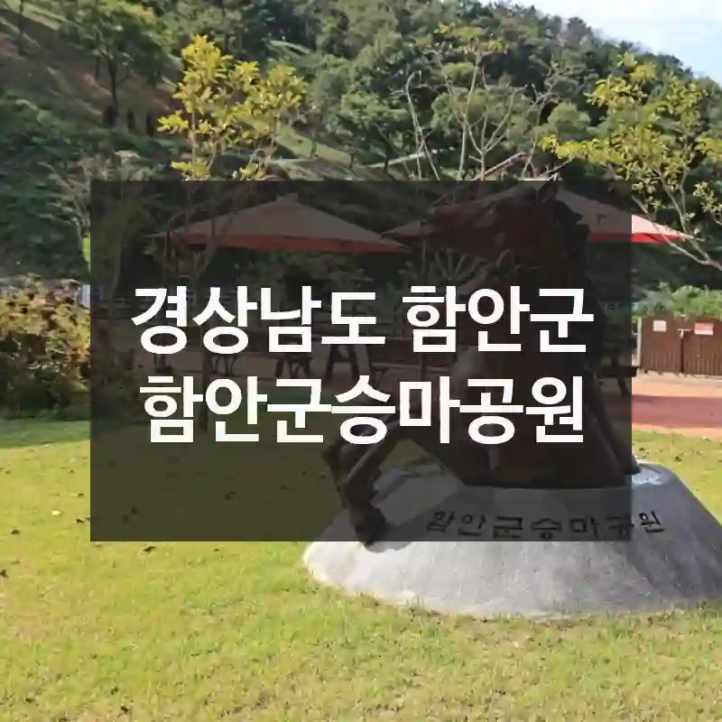경상남도 함안군
함안군승마공원