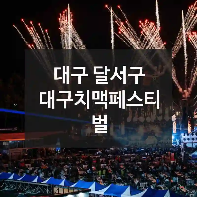 대구 달서구
대구치맥페스티벌