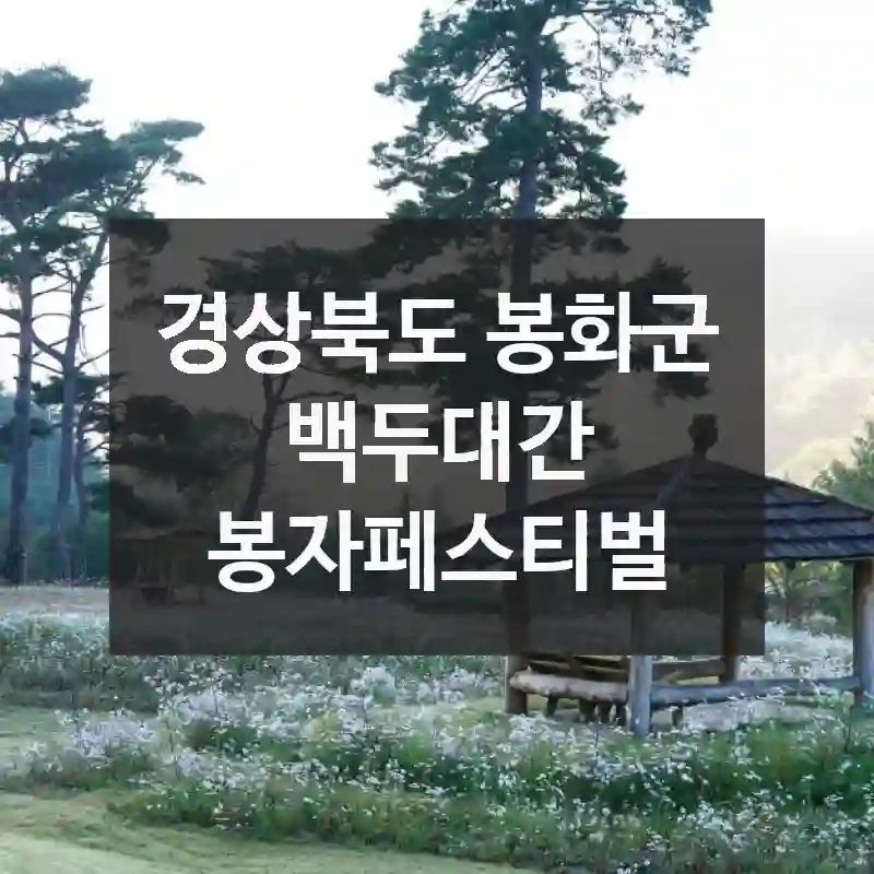 경상북도 봉화군
백두대간 봉자페스티벌